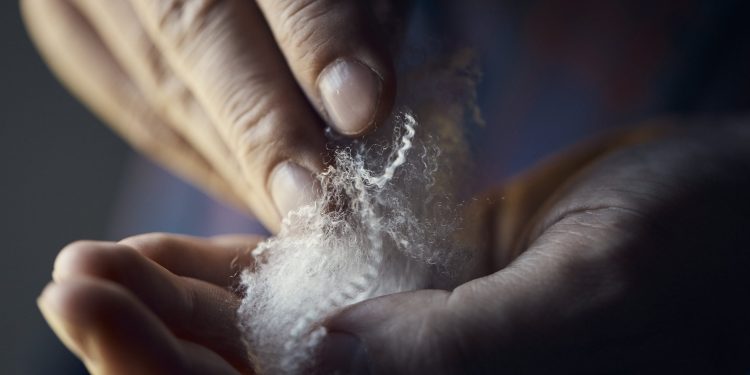 Magri (Woolmark): “Nello sport la lana sfida il dominio del sintetico”